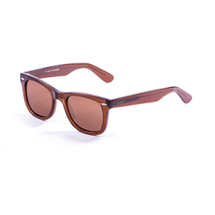 Gafas de sol LENOIR BIARRITZ - Marrón oscuro transparente / Marrón