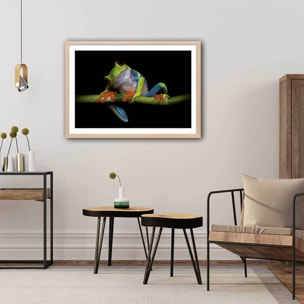 Poster animaux Curiosités Affiche + cadre en bois - Chêne