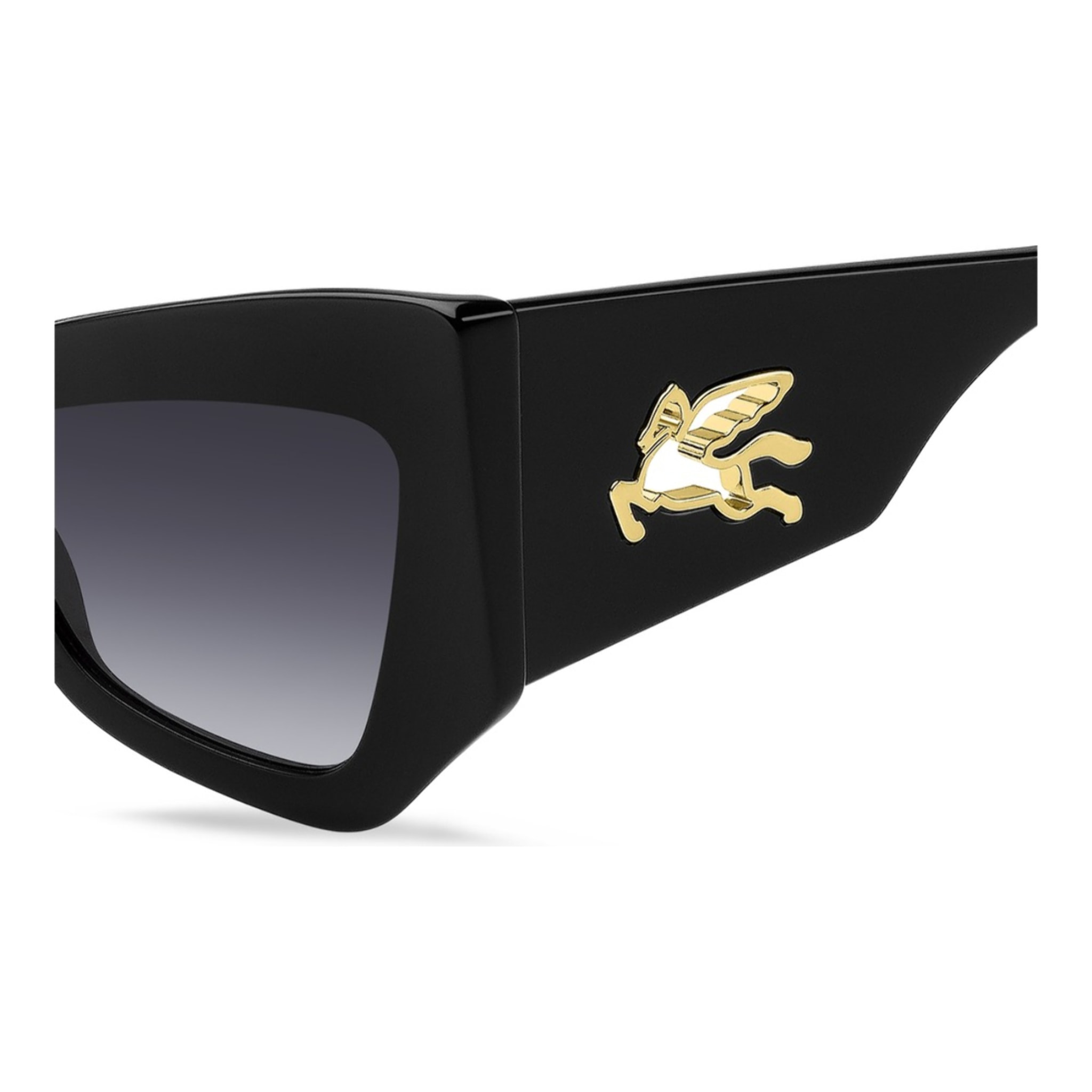 Gafas de Sol EtroMANIA 807 de Acetato Mujer 55 mm