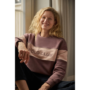 Sudadera rosa taupe de corte boxy y logo Polo Club