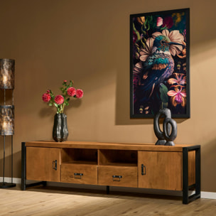 Meuble TV bois métal 2 portes 2 tiroirs MILORA