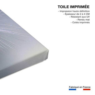 Tableau fleurs dandelion seeds Toile imprimée