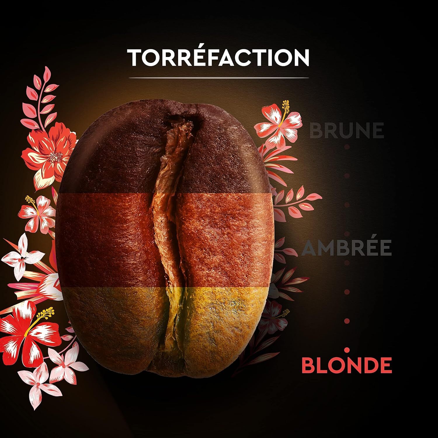 Carte Noire Grains Honduras Bio 500G