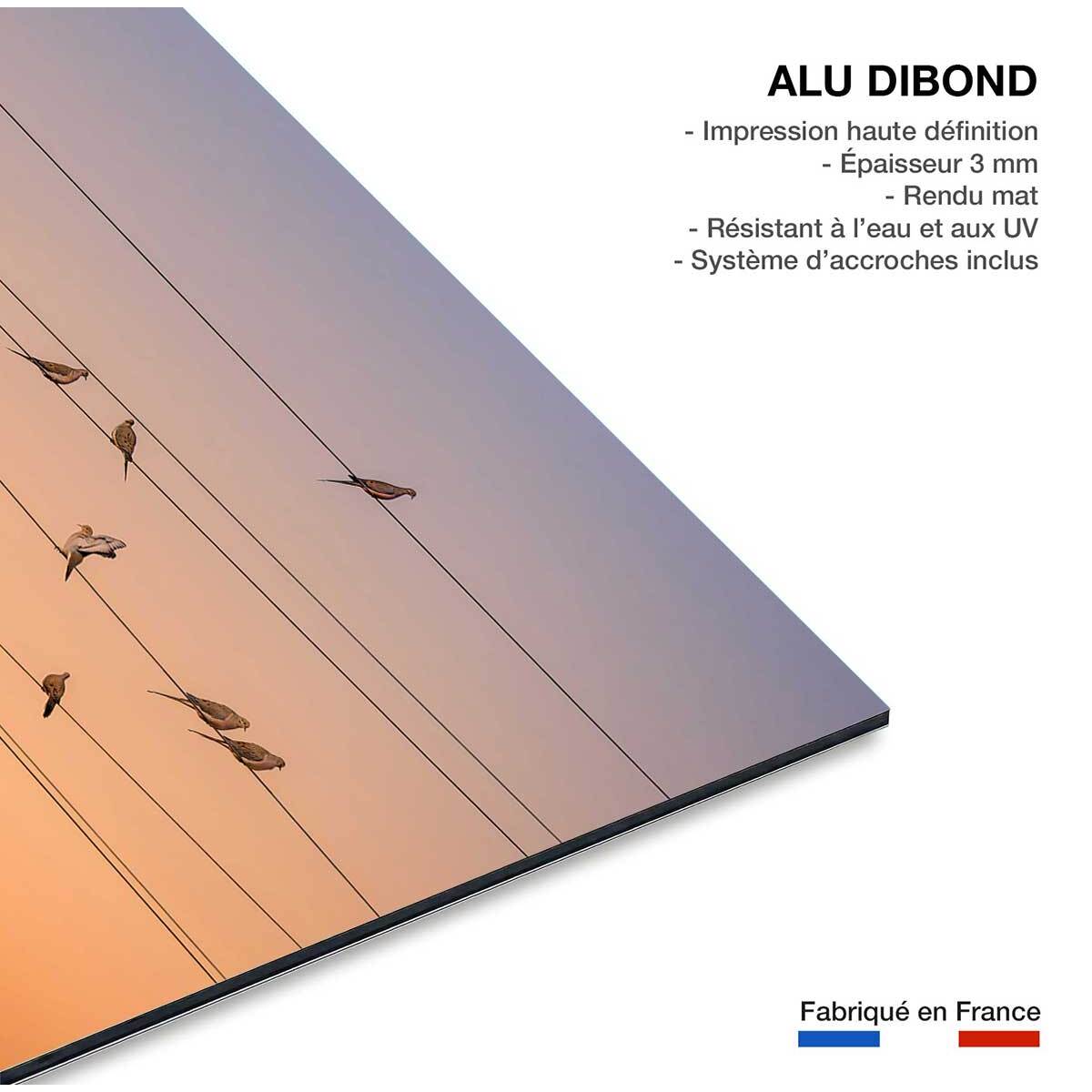 Tableau oiseaux Music of Light Tableau alu Dibond