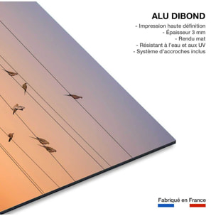 Tableau oiseaux Music of Light Tableau alu Dibond
