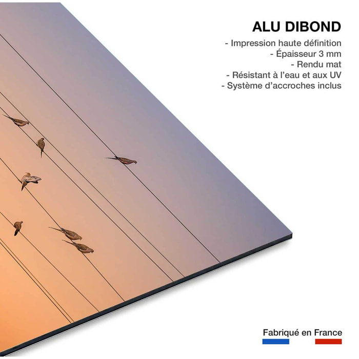 Tableau oiseaux Music of Light Tableau alu Dibond