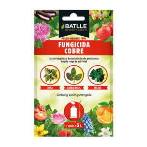 Fungicida cobre Batlle Sobre 5 L