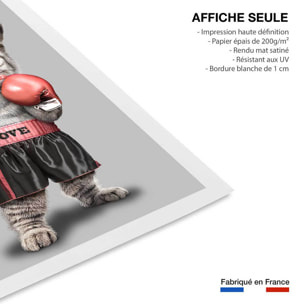 Affiche enfant chat boxeur  Affiche seule