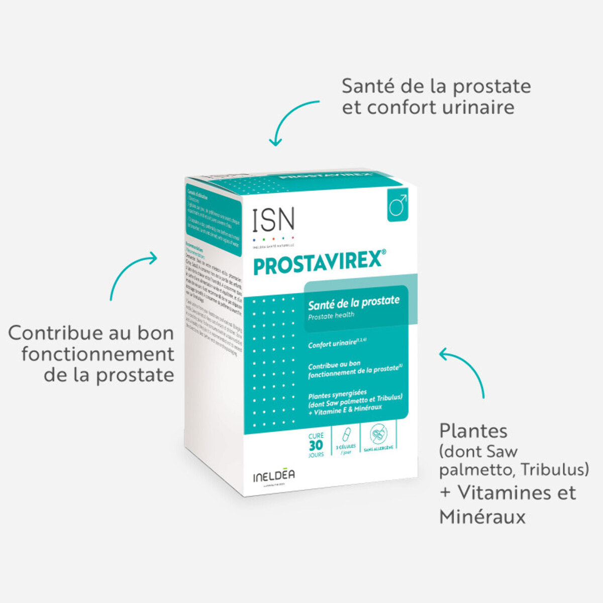 ISN - Prostavirex - Complément alimentaire à base de Plantes, Vitamines & Minéraux - Préserve la Santé de la Prostate - Contribue au Confort Urinaire & Réduction des Troubles Sexuels - Cure 30 jours