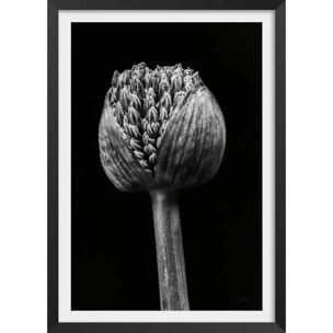 Poster tropical spring palm Affiche + cadre en bois - Noir