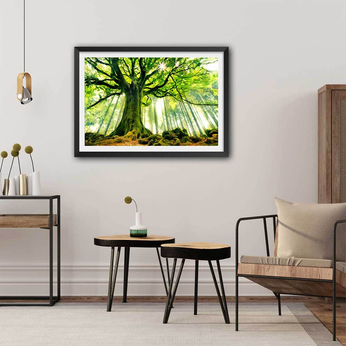 Affiche nature l 'hêtre de ponthus Affiche + cadre en bois - Noir