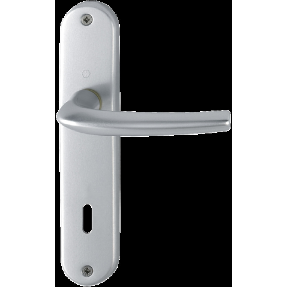 Ensemble de porte San Diego 1191/347 HOPPE Alu Argent F1 - Clé L - 3230320