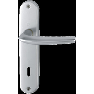 Ensemble de porte San Diego 1191/347 HOPPE Alu Argent F1 - Clé L - 3230320