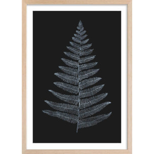 Poster fougère royale blanche Affiche + cadre en bois - Chêne