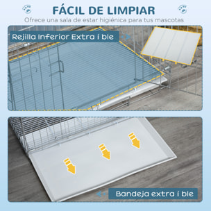 Jaula Plegable para Perros Perrera Metálica 61x43x50 cm Jaula Metálica para Perros con Bandeja Extraíble y 2 Puertas con Pestillo Blanco