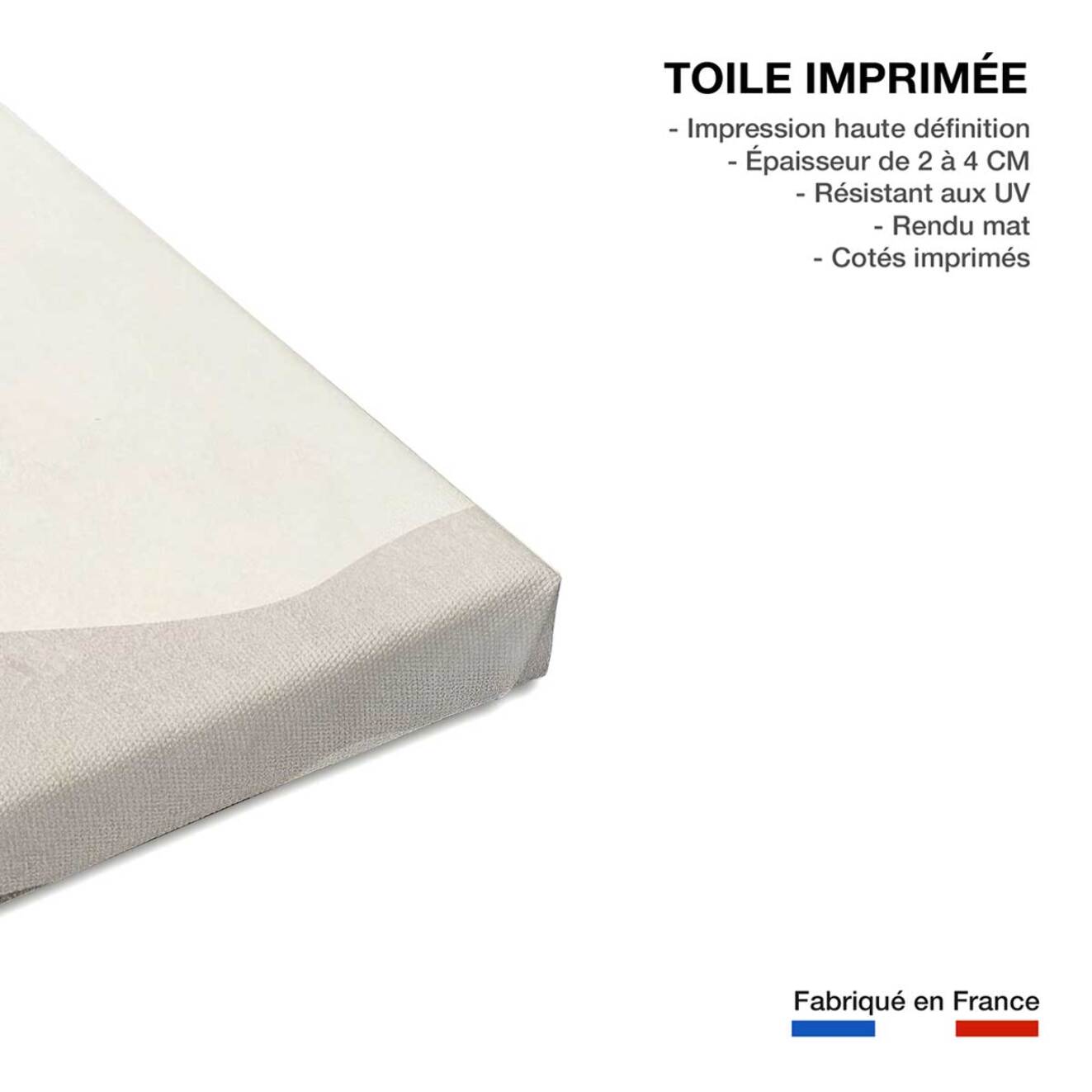 Tableau abstrait  pousse boho  Toile imprimée