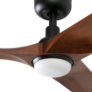 HEYWOOD L LED Ventilador de techo negro/madera oscura