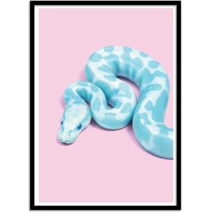 Affiche - Blue Snake - Paul Fuentes