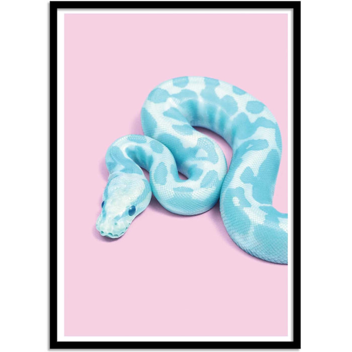 Affiche - Blue Snake - Paul Fuentes