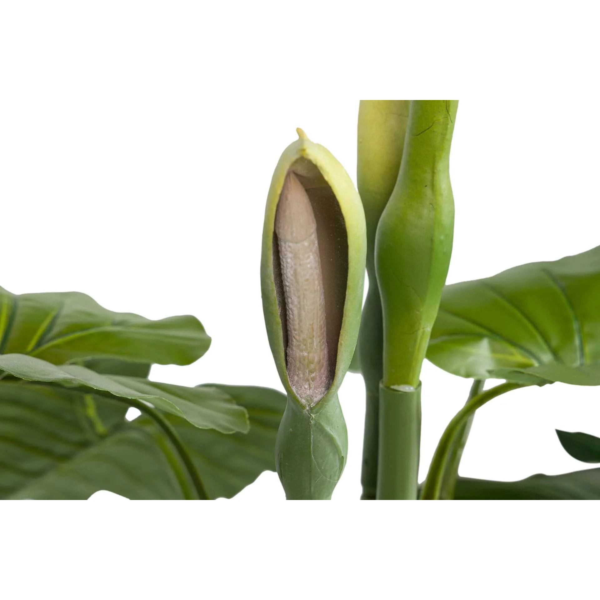 Planta Artificial Taro Con Maceta 95x95x120 Cm