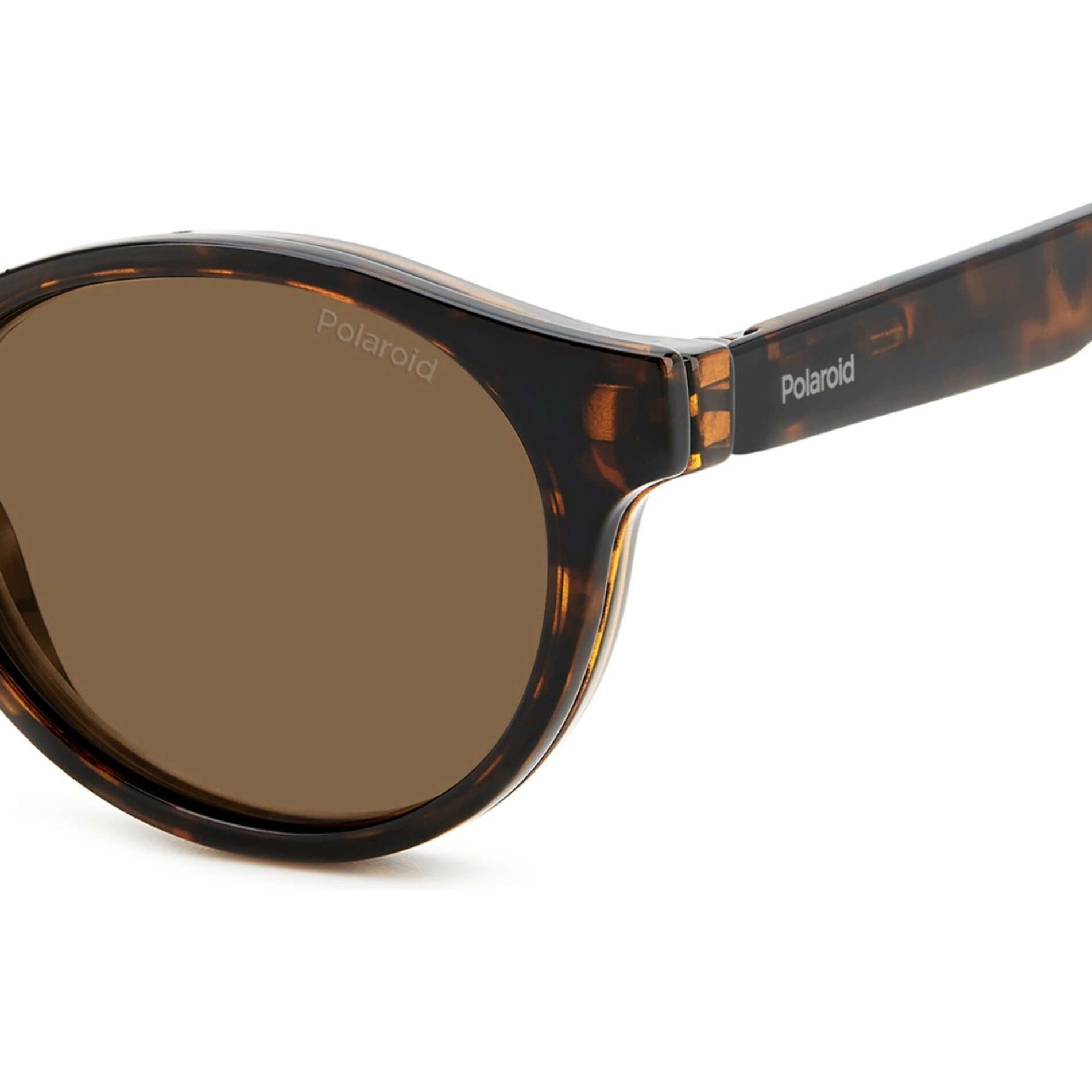 Gafas de Vista Polaroid PLD 0031/R/C 086 50 Polarizadas Unisex 50 mm