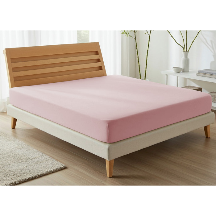 Lenzuolo Sotto Con Angoli No Stiro Tinta Unita Francesca Zephir