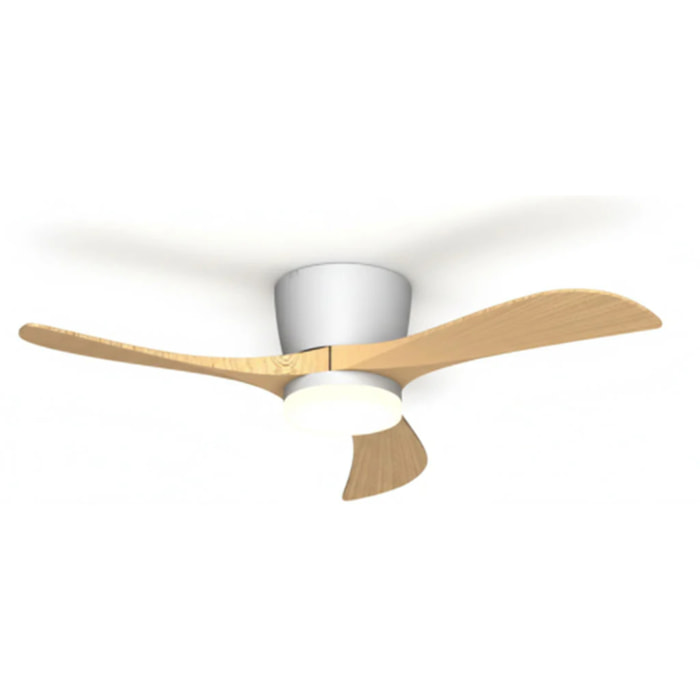 Ventilateur Plafond LED ALIYA D132CM