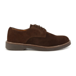 Zapatos Oxford para Hombre - Duca di Morrone Alessio Suede Brown