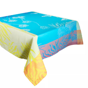 Nappe Aquatic rainbow