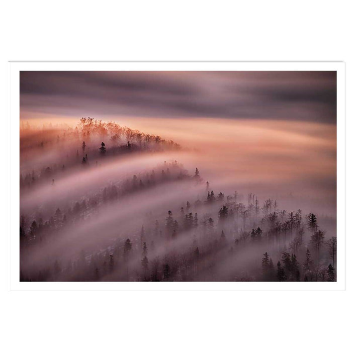 Poster ciel violet au matin Affiche seule