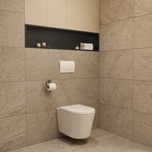Timeless Niche de Douche à encastrer, Acier Inoxydable 304, 119x26x10cm, Noir mat