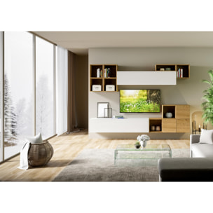 Composizione A45 L.294 P.39,5