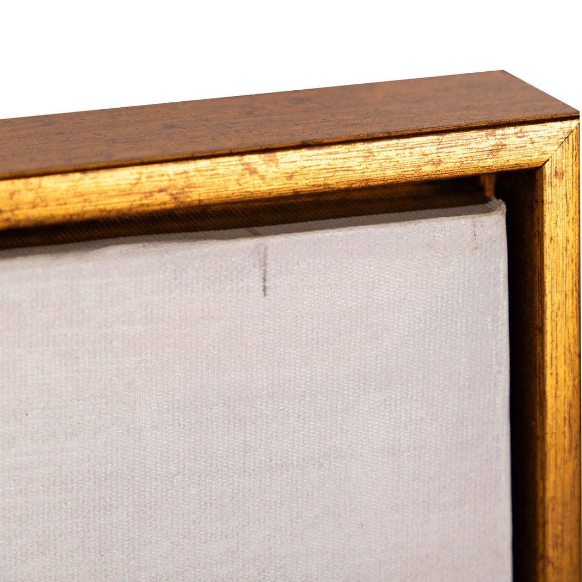 Cuadro Arbol Con Marco Champagne 120x4x80 Cm
