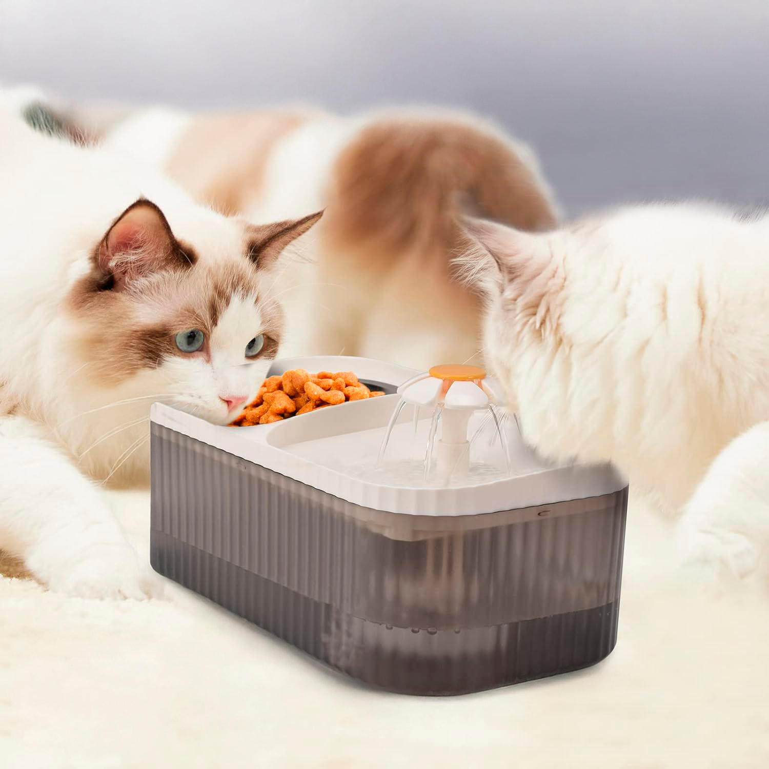 Nutrimento e abbeveratoio per animali domestici con una capacità di 3 litri e pompa d'acqua.