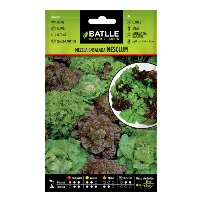Semillas de Lechuga Mesclum Batlle