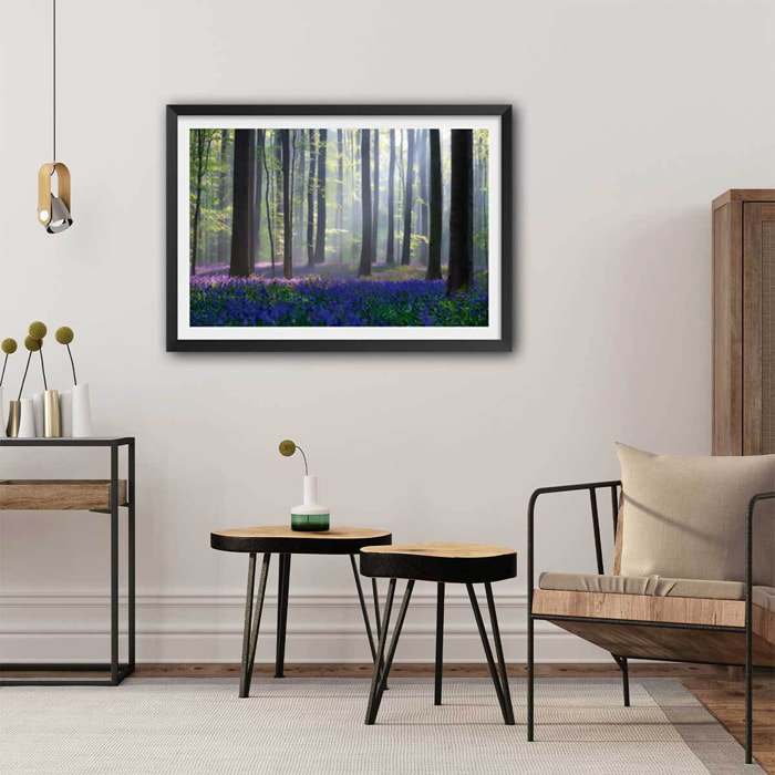 Affiche nature jacinthes et sous-bois Affiche sous cadre noir