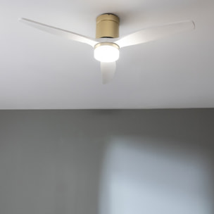 Cecotec Ventilatore da soffitto con luce EnergySilence Aero 5600 Aqua GoldWhiteW