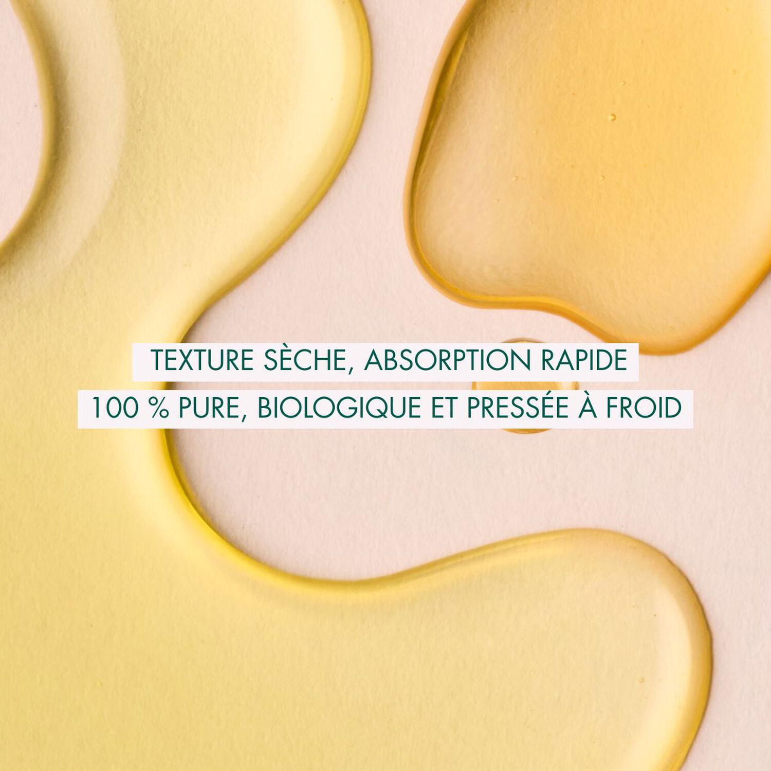 Huile de Rosier Muscat  - Hydratante & Revitalisante 50 ml