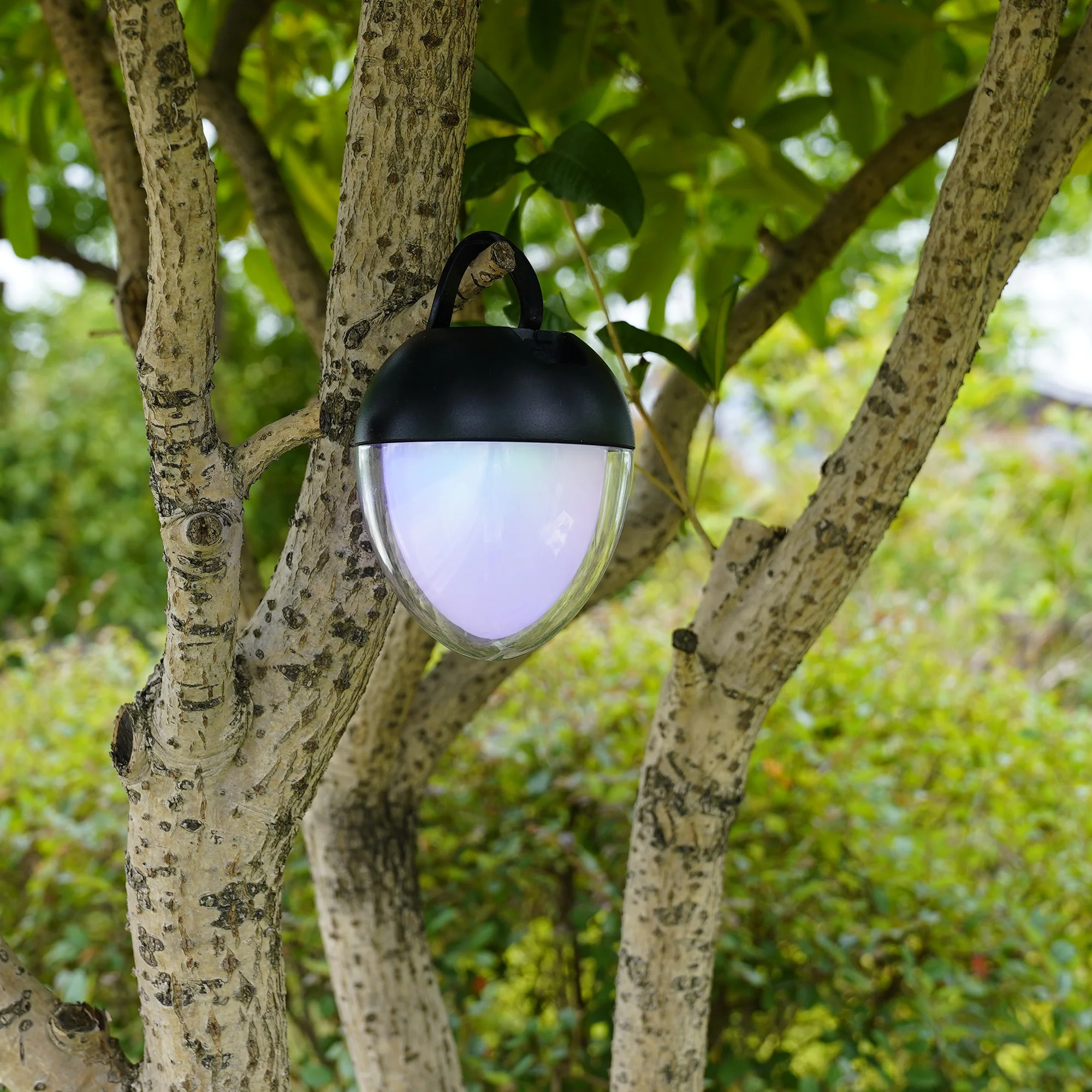 Lampe de table décoration LED blanc + RGB rechargeable  OVIE H12cm