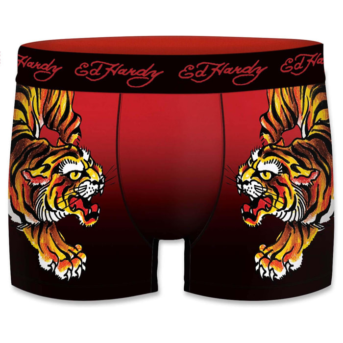 Calzoncillo boxer FREEGUN Ed Hardy para hombre