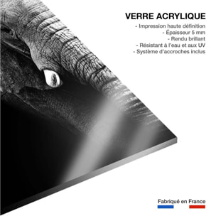 Tableau photo éléphant Tableau plexiglas