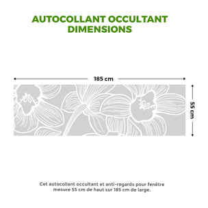 Film Fenêtre Anti Regard Occultant - FLEUR D'ORCHIDÉE 1 - Stickers Autocollant Brise-Vue pour Vitre & Porte de Douche