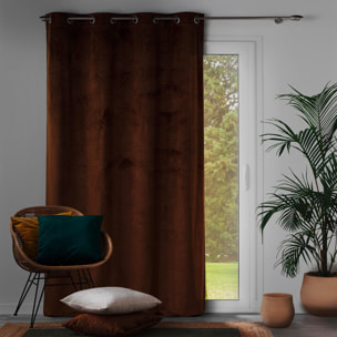 Rideau occultant en velours feuilles de monstera - Marron Clair
