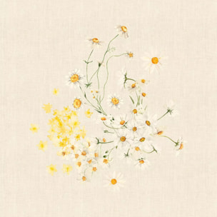 Serviette lin & coton lavé 150 g/m² imprimé jaune beige Daisy chanvre