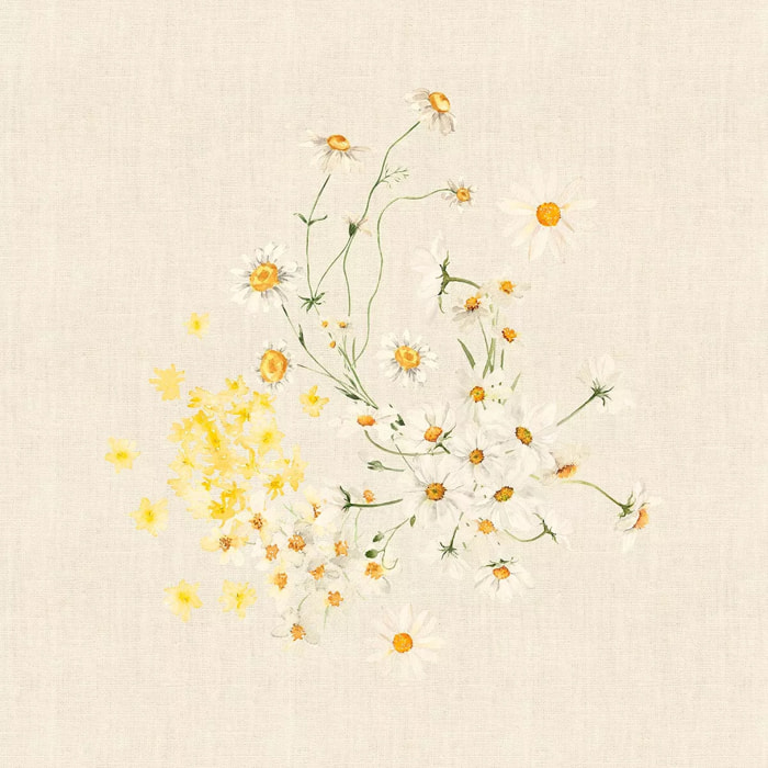 Serviette lin & coton lavé 150 g/m² imprimé jaune beige Daisy chanvre