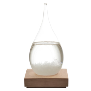 Verre Tempete H17cm