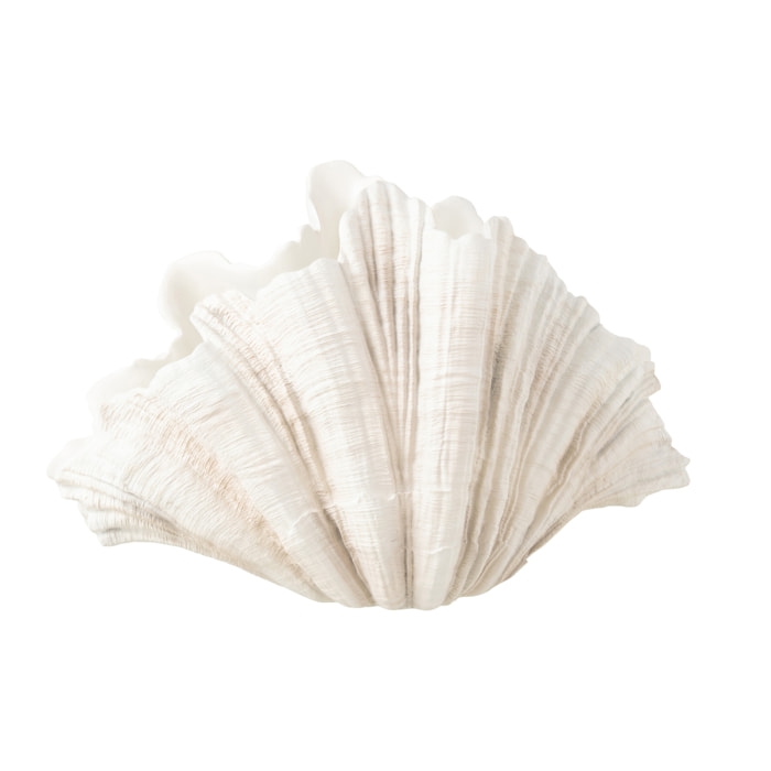 J-Line décoration Coquillage - polyrésine - blanc cassé