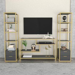 Parete attrezzata Dpisan, Composizione soggiorno, Mobile salotto multiuso, Armadio porta TV, 198x39h160 cm, Oro e Antracite