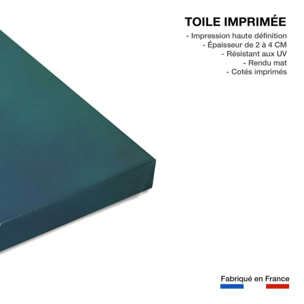 Tableau paysage passerelle borealis  Toile imprimée