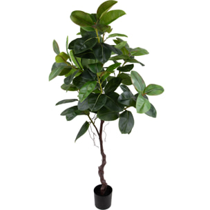 Real Touch Rubber Ficus 210 Cm Con Vaso - Pezzi 1 - 100X210X80cm - Colore: Verde - Bianchi Dino - Piante Artificiali